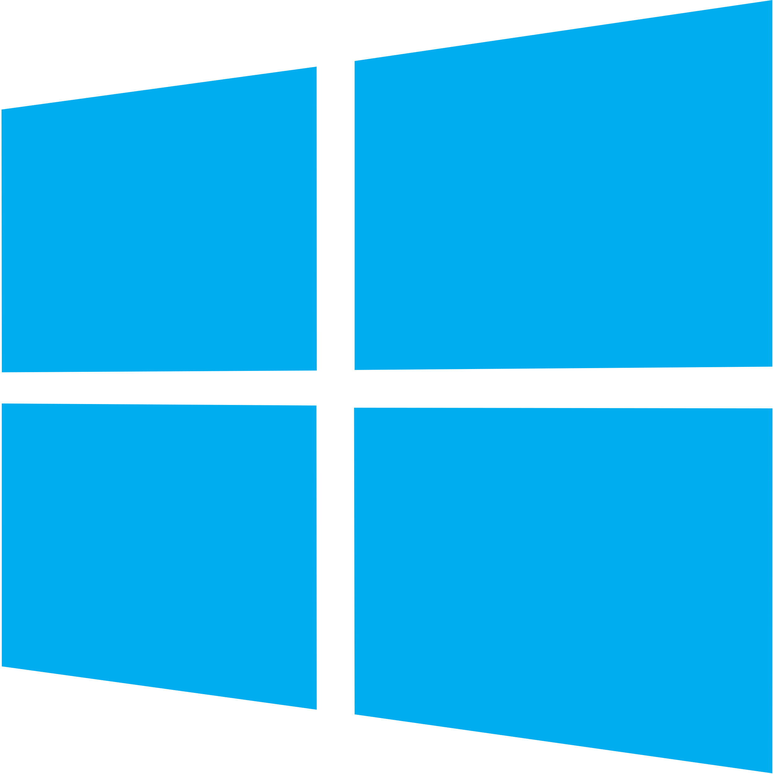 The Windows Active Directory logo