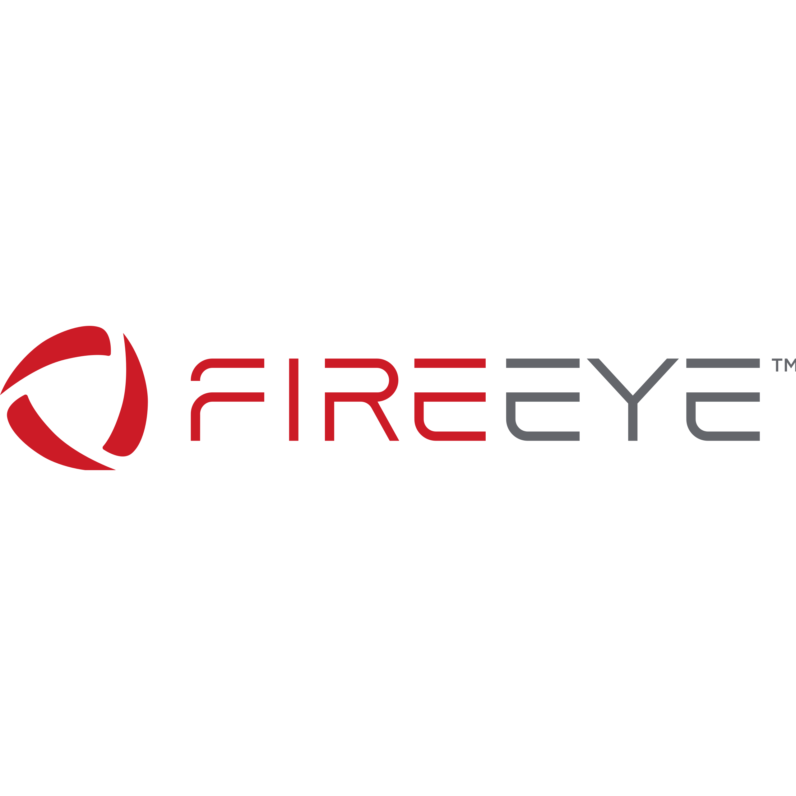 The FireEye logo